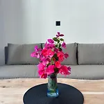 Anemmos * Χαλικούνας