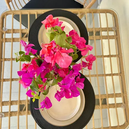 Anemmos * Halikounas