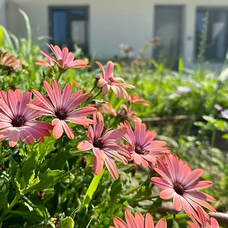 Апартаменты Anemmos *