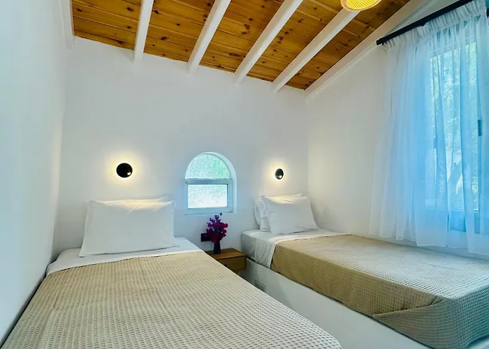 Διαμέρισμα Anemmos *