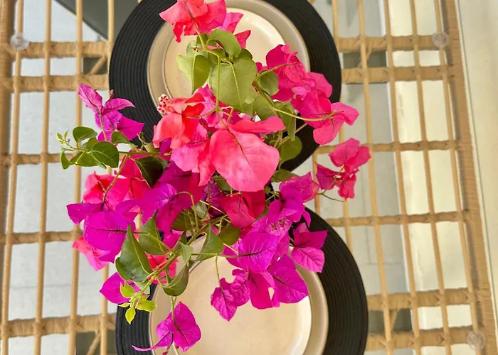 Anemmos * Χαλικούνας