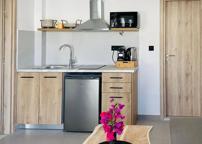 Διαμέρισμα Anemmos Χαλικούνας